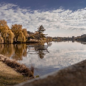 divoká šárka